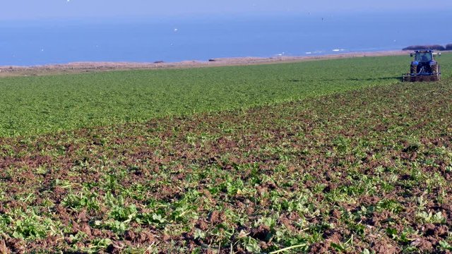 agriculteur au travail