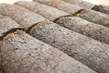 New Rolled Sod Grass