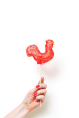 Candy Cockerel symbol of 2017 on white background