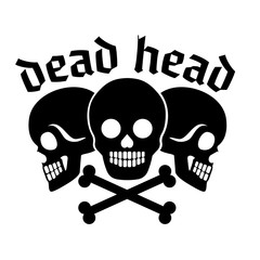  grunge skull coat of arms