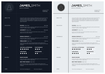 Flat Resume with Infographics and Timeline. Vector Illustration


