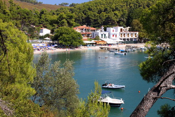 Agnodas beache, Skopelos town, Skopelos island, Sporades island, Greek island, Thessaly, Aegean...