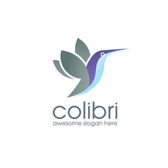 Colibri Logo Bird symbol design template. Hummingbird vector Bird cute character logo.