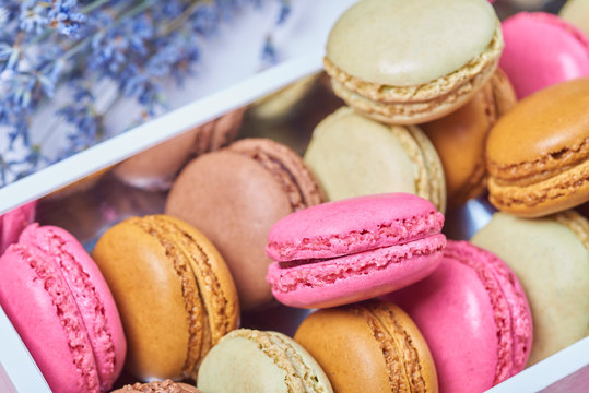 Colorful french macaroons in a box