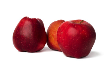 Healthy fresh red apple on the white background