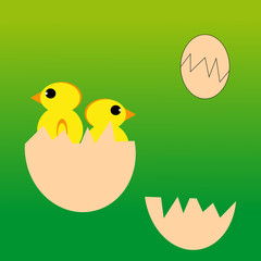 Chickens and eggs on green background.