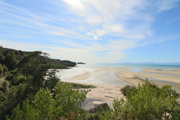 abel tasman