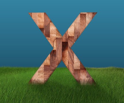 3D decorative wooden Alphabet on green Grass, capital letter X