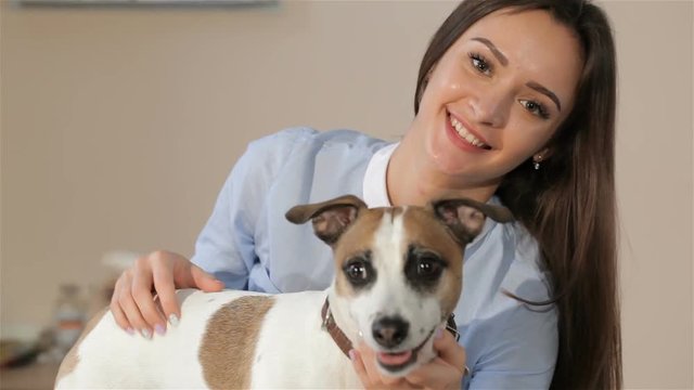 Pretty caucasian woman petting the dog at the veterinarian clinic. Close up of attractive woman smiling for the camera near her dog. Nice Jack Russel Terier wagging his tail while his female owner