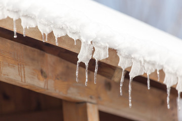 icicles on winter nature