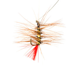 fly for fishing on a white background