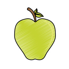 apple fruit icon image vector illustration design 