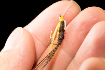 fly to catch fish in a hand on a black background