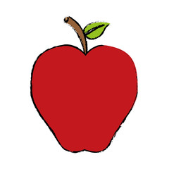apple fruit icon image vector illustration design 