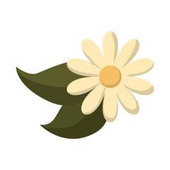 beautiful flower with leaves icon over white background. colorful design. vector illustration