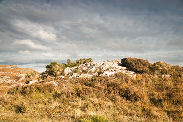 Fototapeta na wymiar Outcrop of rock in wilderness moorland Scotland.