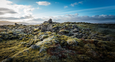 Moos bedecktes Lavafeld, Island