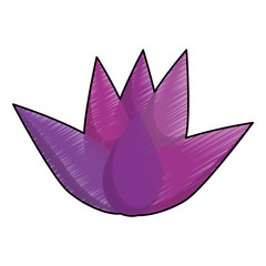 lotus flower icon image vector illustration design 