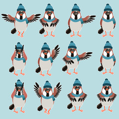 Sparrow with hats flat set