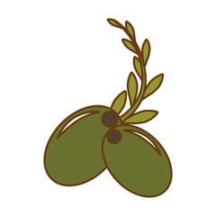 olive and branch icon image vector illustraton design 