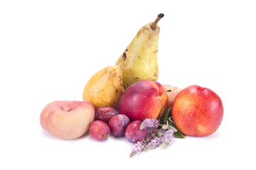 Ripe fruit on white