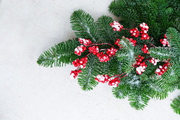 Fototapeta na wymiar red and green christmas - twig with red berries and green evergreen tree with copy space