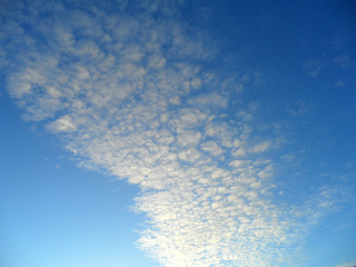 Naklejka na ściany i meble White Fluffy Cloud Floating on Vivid Blue Sky