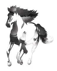 black and white monochrome painting with water and ink draw horse illustration © Turaev