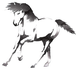 black and white monochrome painting with water and ink draw horse illustration © Turaev
