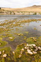 stones in the river in nature