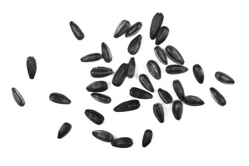  sunflower seeds isolated on white