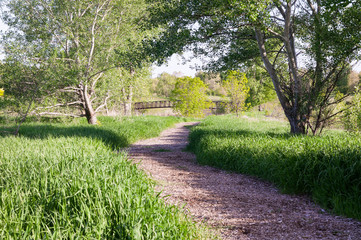 Summer Trail Walkway 4
