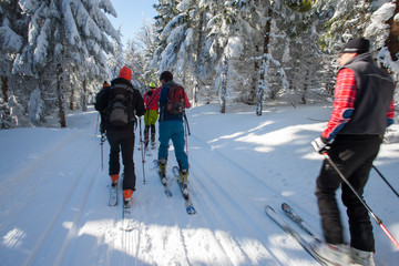 Skitouring w Masywie Śnieżka, Kotlina Kłodzka 