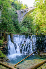 Fototapeta premium Waterfall at the Vintgar gorge, beauty of nature, with river Radovna flowing through, near Bled, Slovenia.