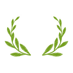 championship or winner olive branches emblem icon image vector illustration 