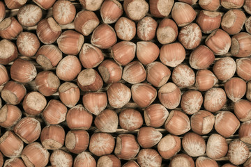 Hazelnuts