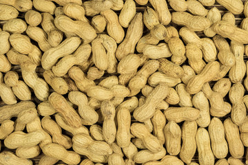 Peanuts