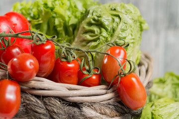 Green fresh roma lettuce salad leaves and roma mini tomatoes - healthy low calorie concept