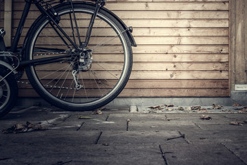 A bicycle in a backyard in autumn