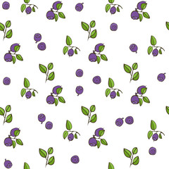 Beautiful seamless pattern with natural fresh blueberries. Hand drawn sketch elements on white background