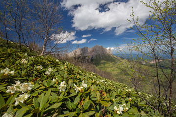 Fototapeta premium Russia, timelapse. The formation and movement of clouds over the summer slopes of Adygea Bolshoy Thach and the Caucasus Mountains