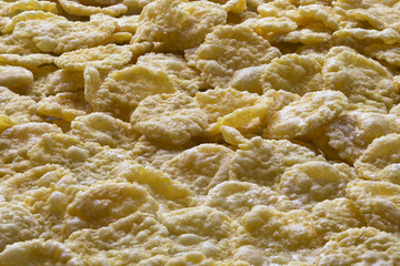 natural products are the basis of healthy nutrition and good health