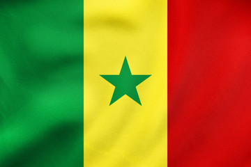 Flag of Senegal waving, real fabric texture