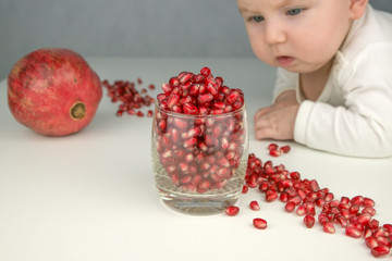 small child looks at a ripe pomegranate grains