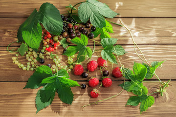 berry green leaf on a  table currants