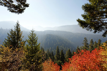 Gifford Pinchot National Forest
