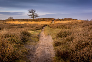 Gasterse Duinen
