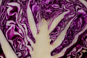 Obraz premium Slice violet cabbages