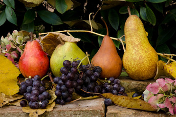 Pears and grapes with leaves