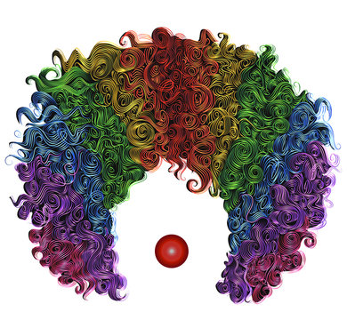 clown colorful wig hair. funny attire.

